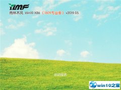 ľ Win10 x861809רҵ棩v2019.05