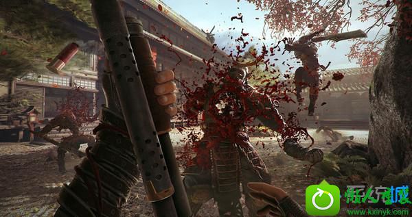 win10系统玩影子武士2出现闪退 win10系统玩影子武士2出现闪退的解决方法
