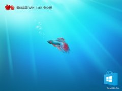 ѻ԰win11ù64λv2025.05⼤