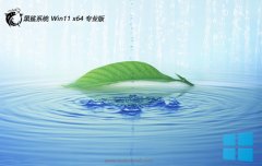 ϵͳwin11⼤64λͨðv2025.05