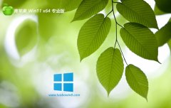 <font color='#006600'>ƻϵͳ64λwin11ʼǱٰv2025.05</font>