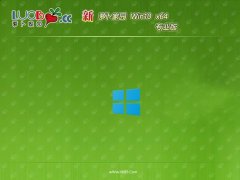 ܲ԰win10 64λ ⼤ʸ߶˰v2025.05