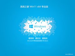 ϵͳ֮64λwin11Żٰv2025.05