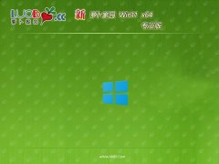 ܲ԰win11 64λƼv2025.05