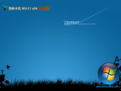 ľ64λwin11ͳѰv2025.05
