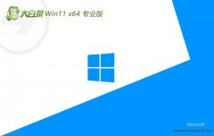 ײ⼤win11 64λ칫v2024.05